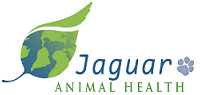 jaguar-animal-health